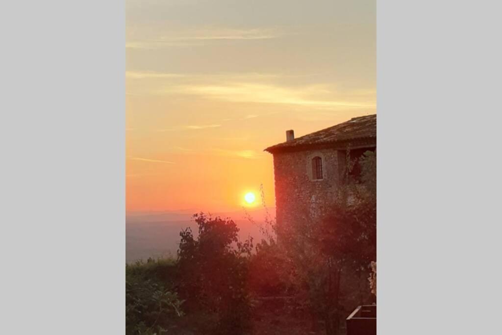 Gite Provencal Independant Avec Piscine Chauffee : Le Suy Bien Flayosc Exteriör bild
