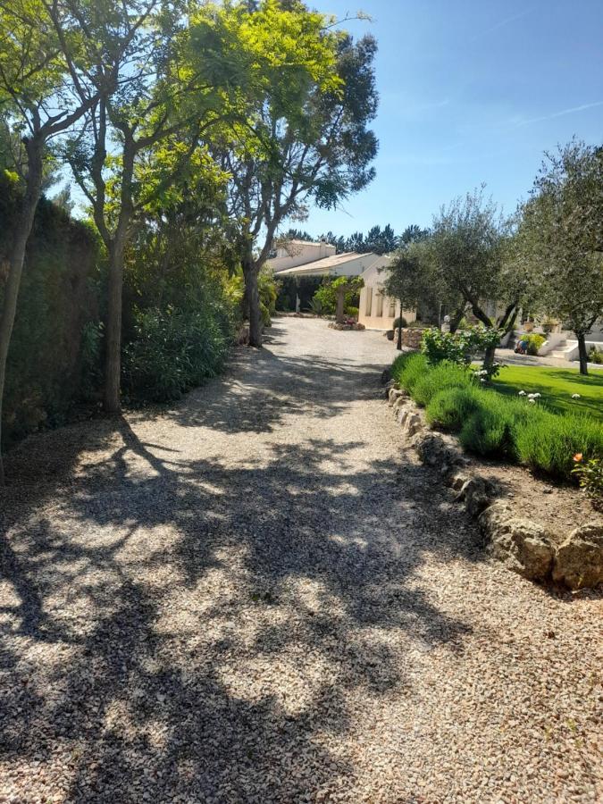 Gite Provencal Independant Avec Piscine Chauffee : Le Suy Bien Flayosc Exteriör bild